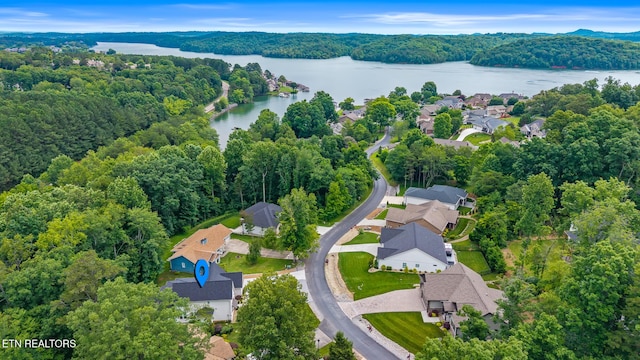 243 Chuniloti Way, Loudon, TN 37774 - photo 41
