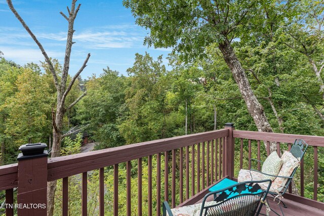 406 Edgewood Dr, Gatlinburg, TN 37738 - photo 33