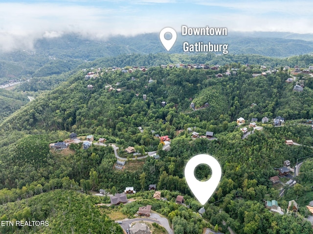 406 Edgewood Dr, Gatlinburg, TN 37738 - photo 35