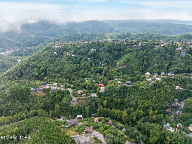 406 Edgewood Dr, Gatlinburg, TN 37738 - photo 36