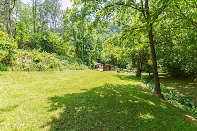 1069 Bryan View Rd, Sevierville, TN 37862 - view of green lawn featuring a forest view