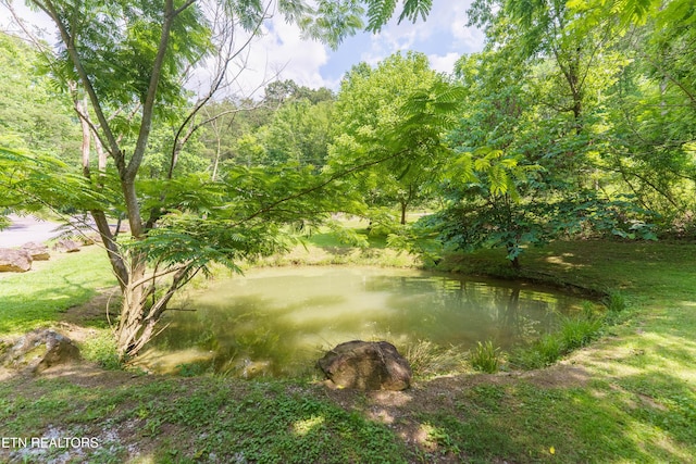 1069 Bryan View Rd, Sevierville, TN 37862 - view of yard featuring a water view