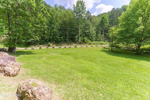 1069 Bryan View Rd, Sevierville, TN 37862 - view of grassy yard featuring a forest view