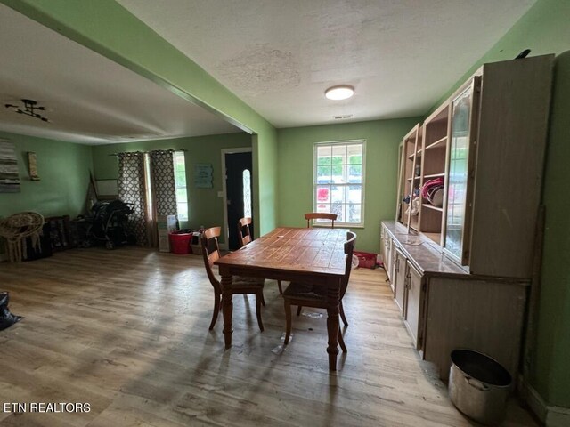 202 Foothills Rd, Pikeville, TN 37367 - photo 6