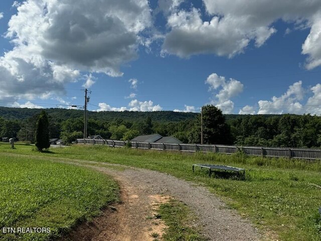 202 Foothills Rd, Pikeville, TN 37367 - photo 14