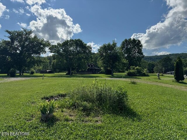202 Foothills Rd, Pikeville, TN 37367 - photo 16
