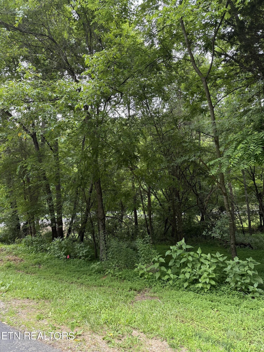 281 Ootsima Way, Loudon, TN 37774