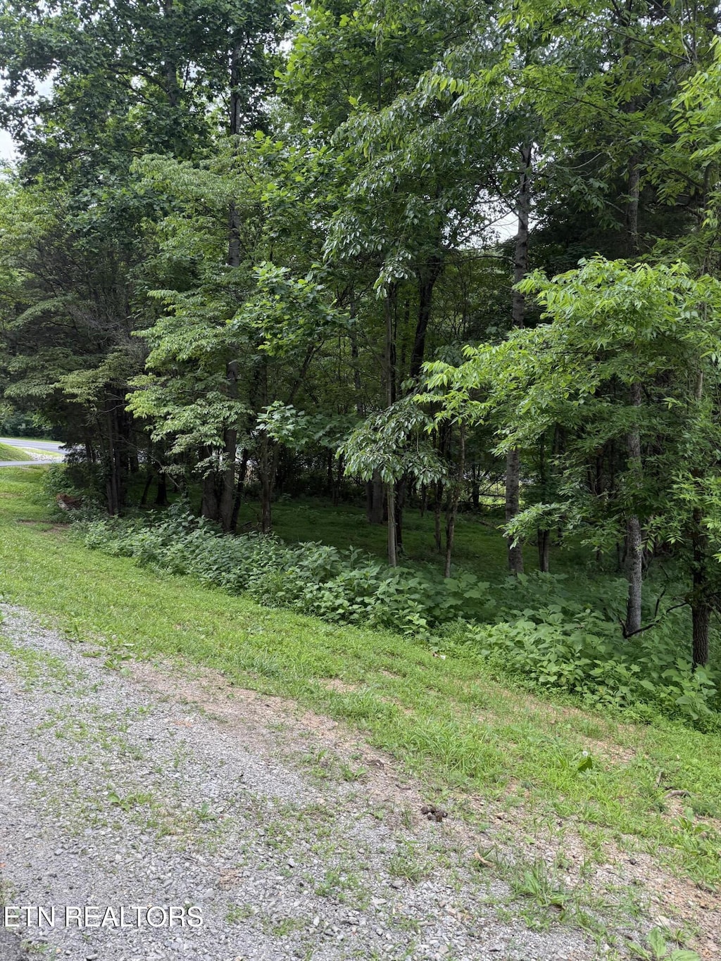 281 Ootsima Way, Loudon, TN 37774