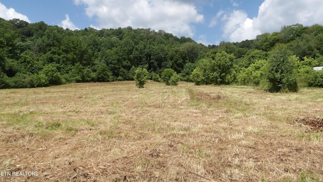 5.6AC Lonnie Reecer Rd, Celina, TN 38551
