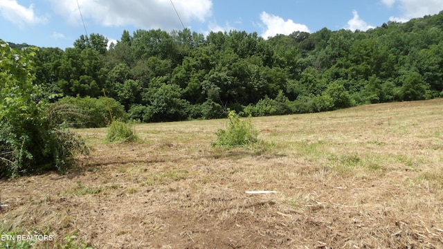 5.6AC Lonnie Reecer Rd, Celina, TN 38551