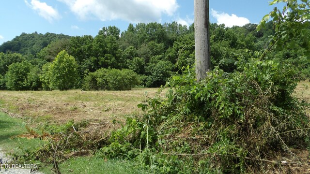 5.6AC Lonnie Reecer Rd, Celina, TN 38551