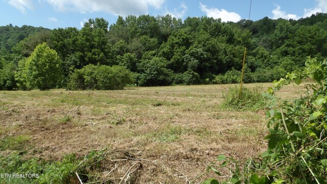 5.6AC Lonnie Reecer Rd, Celina, TN 38551