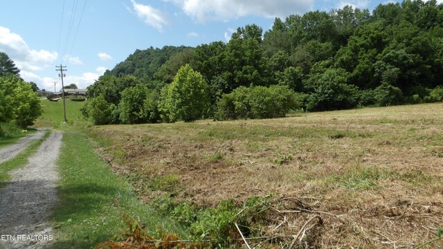 5.6AC Lonnie Reecer Rd, Celina, TN 38551