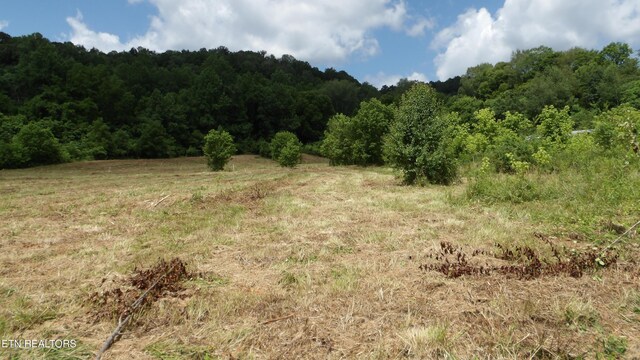 5.6AC Lonnie Reecer Rd, Celina, TN 38551