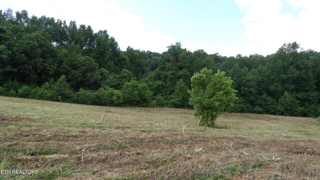 5.6AC Lonnie Reecer Rd, Celina, TN 38551