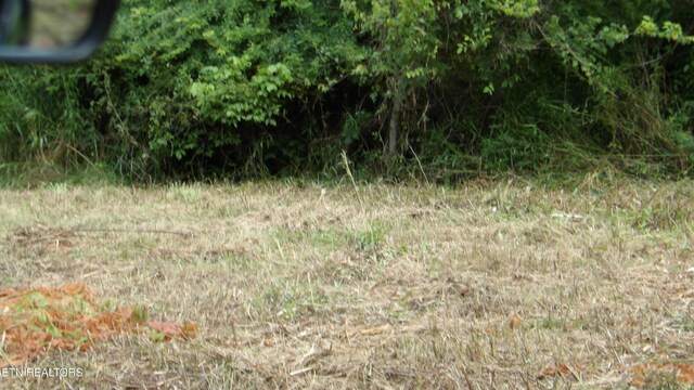 5.6AC Lonnie Reecer Rd, Celina, TN 38551