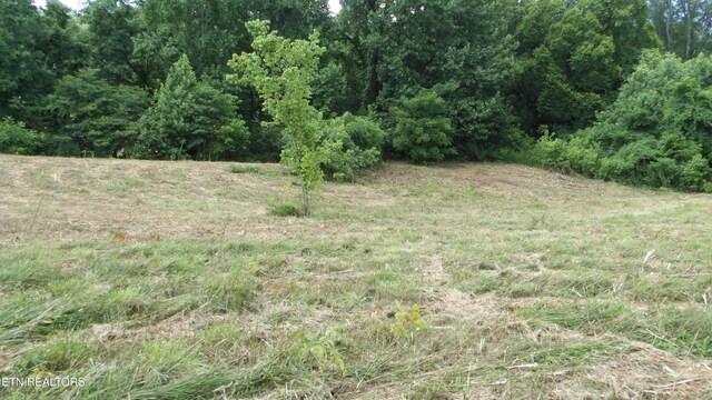 5.6AC Lonnie Reecer Rd, Celina, TN 38551