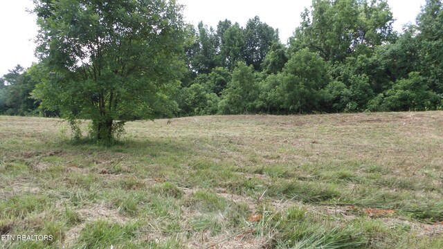 5.6AC Lonnie Reecer Rd, Celina, TN 38551