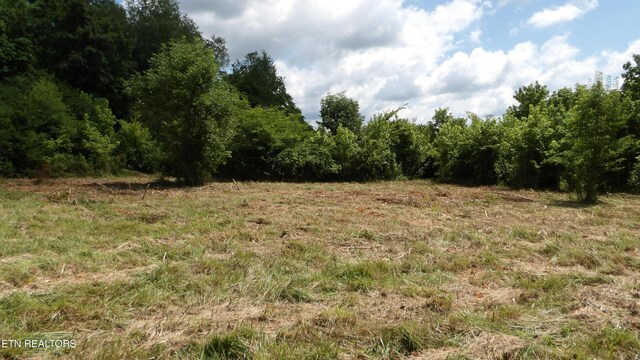 5.6AC Lonnie Reecer Rd, Celina, TN 38551