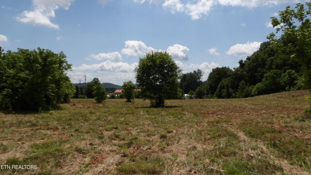 5.6AC Lonnie Reecer Rd, Celina, TN 38551