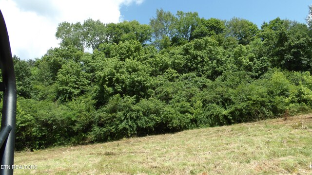 5.6AC Lonnie Reecer Rd, Celina, TN 38551