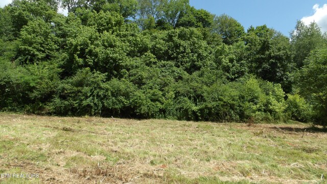 5.6AC Lonnie Reecer Rd, Celina, TN 38551