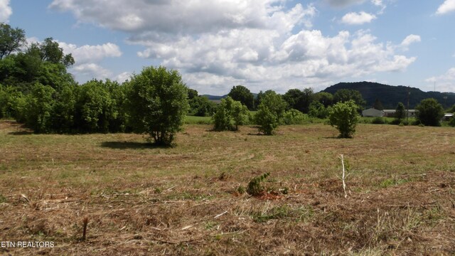 5.6AC Lonnie Reecer Rd, Celina, TN 38551