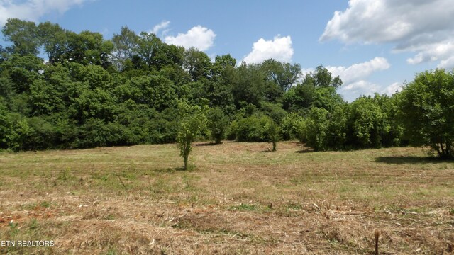 5.6AC Lonnie Reecer Rd, Celina, TN 38551