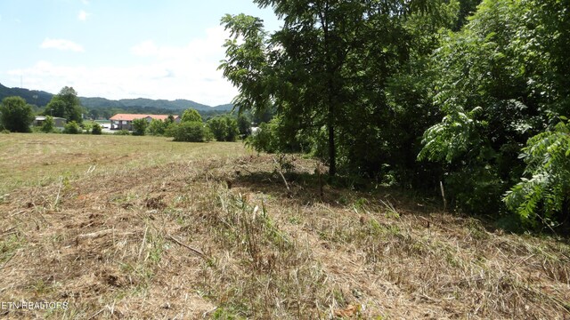 5.6AC Lonnie Reecer Rd, Celina, TN 38551