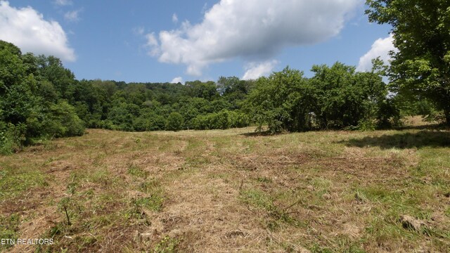 5.6AC Lonnie Reecer Rd, Celina, TN 38551