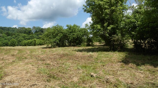 5.6AC Lonnie Reecer Rd, Celina, TN 38551