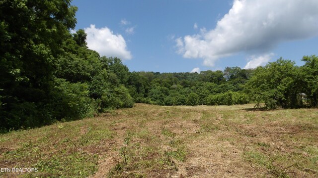 5.6AC Lonnie Reecer Rd, Celina, TN 38551
