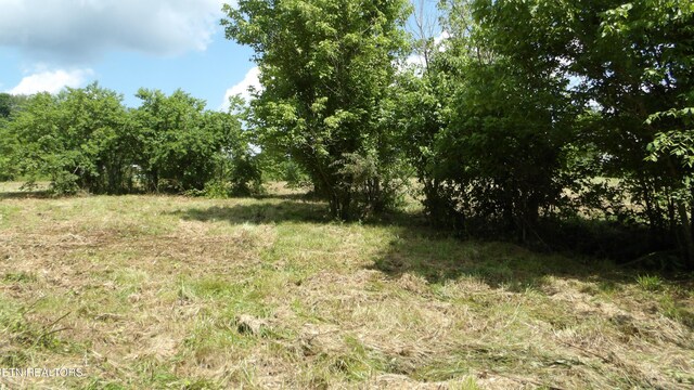 5.6AC Lonnie Reecer Rd, Celina, TN 38551