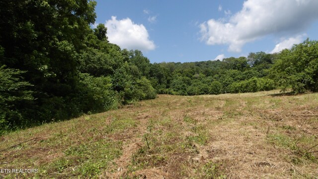 5.6AC Lonnie Reecer Rd, Celina, TN 38551