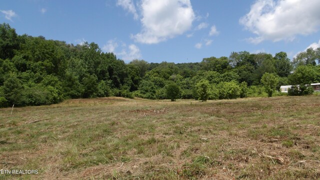 5.6AC Lonnie Reecer Rd, Celina, TN 38551