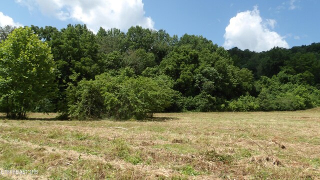 5.6AC Lonnie Reecer Rd, Celina, TN 38551