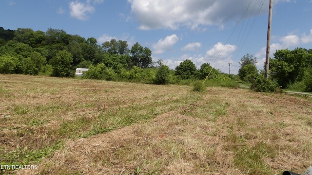 5.6AC Lonnie Reecer Rd, Celina, TN 38551