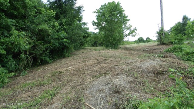5.6AC Lonnie Reecer Rd, Celina, TN 38551