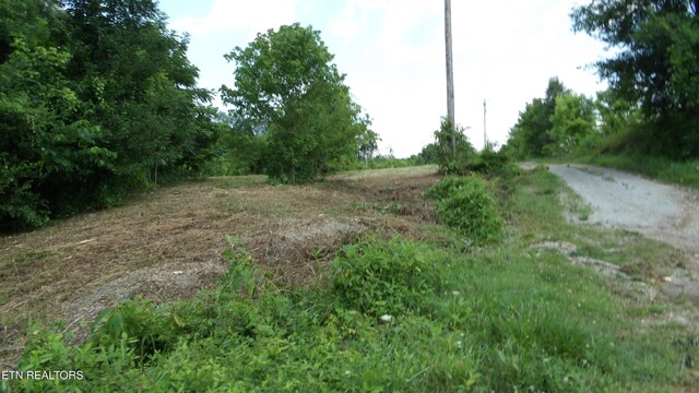 5.6AC Lonnie Reecer Rd, Celina, TN 38551