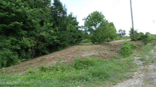 5.6AC Lonnie Reecer Rd, Celina, TN 38551