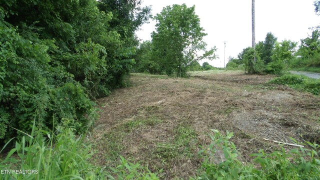 5.6AC Lonnie Reecer Rd, Celina, TN 38551