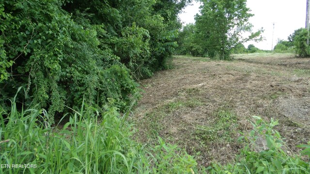 5.6AC Lonnie Reecer Rd, Celina, TN 38551