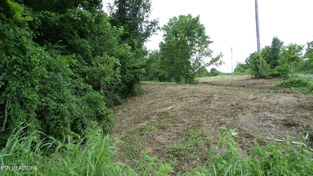 5.6AC Lonnie Reecer Rd, Celina, TN 38551