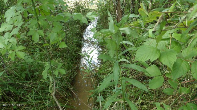 5.6AC Lonnie Reecer Rd, Celina, TN 38551