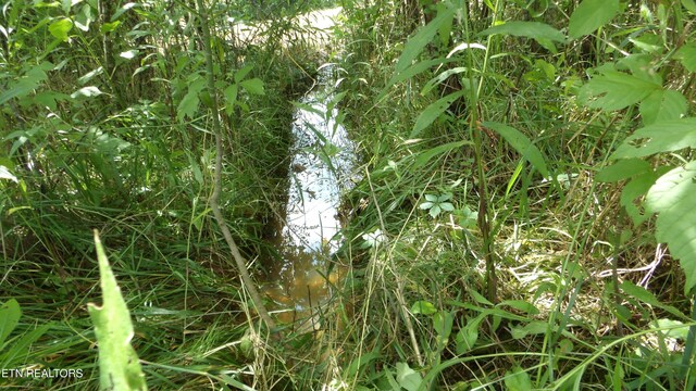 5.6AC Lonnie Reecer Rd, Celina, TN 38551
