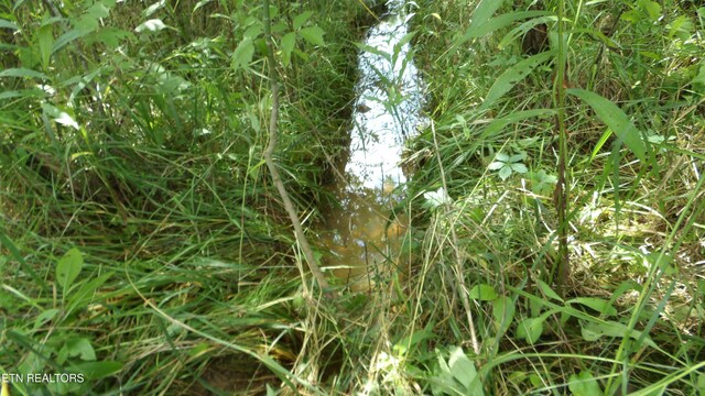 5.6AC Lonnie Reecer Rd, Celina, TN 38551
