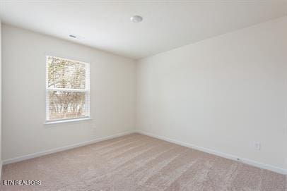 4742 Willow Bluff Cir, Knoxville, TN 37914 - photo 20