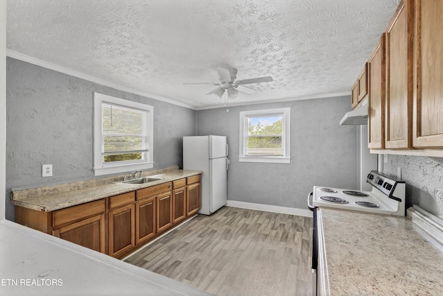 5802 N Broadway St, Knoxville, TN 37918 - photo 11