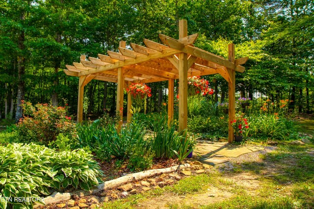 147 Akers Chapel, Jamestown, TN 38556 - view of yard with a pergola