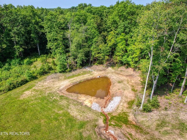 147 Akers Chapel, Jamestown, TN 38556 - bird's eye view of a forest